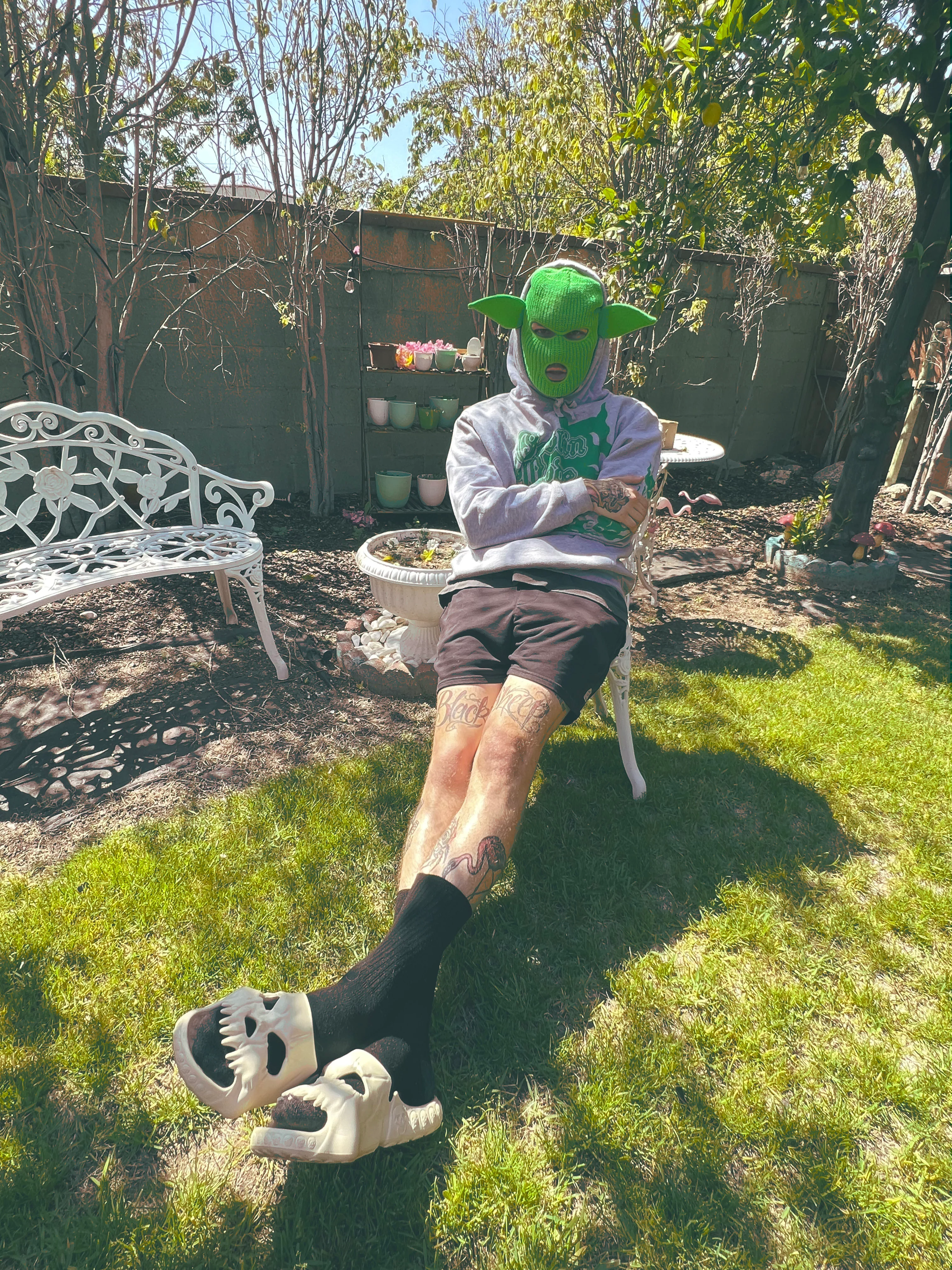 Thumbnail 5